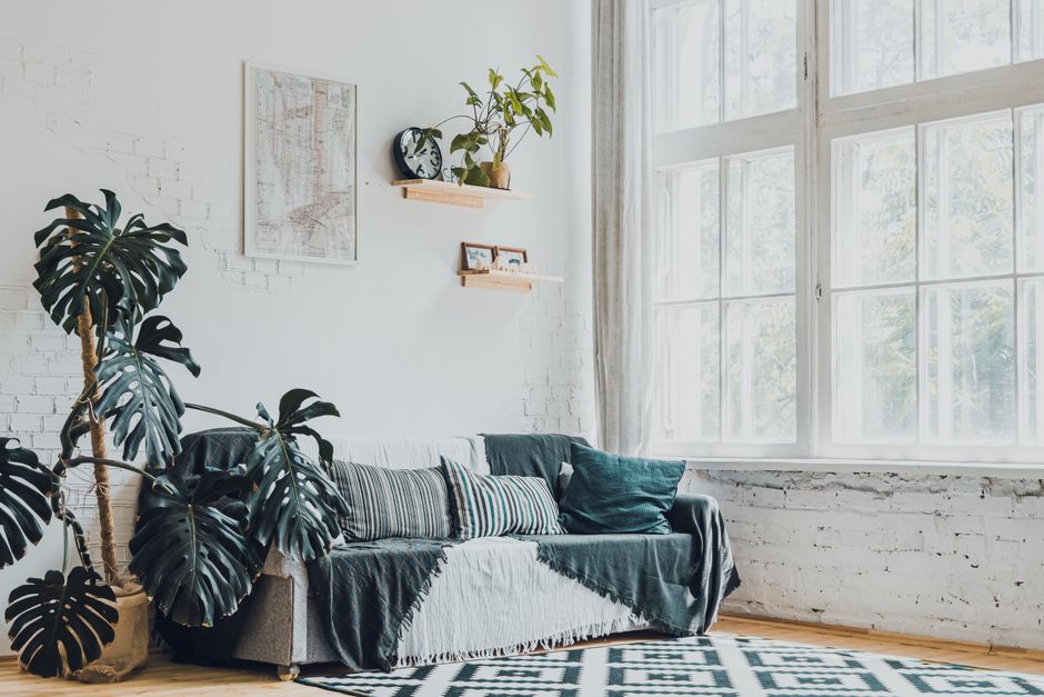 Cozy, bright living room illuminated by new double hung windows